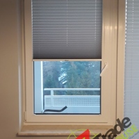 Plisy Kraków  - Plisy