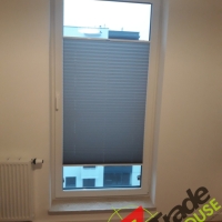 Plisy Kraków  - Plisy