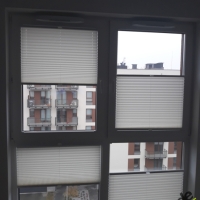 Plisy Kraków  - Plisy