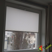 Plisy Kraków  - Plisy