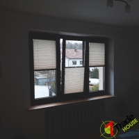 Plisy Kraków  - Plisy