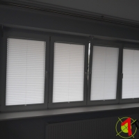 Plisy Kraków  - Plisy