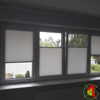 Plisy Kraków  - Plisy