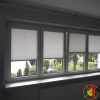 Plisy Kraków  - Plisy