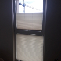 Plisy Kraków  - Plisy