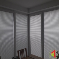 Plisy Kraków  - Plisy