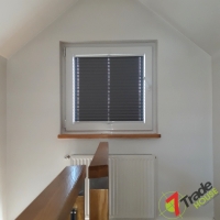 Plisy Kraków  - Plisy