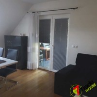 Plisy Kraków  - Plisy