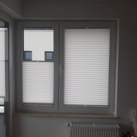 Plisy Kraków  - Plisy