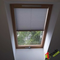 Plisy Kraków  - Plisy