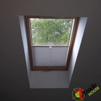 Plisy Kraków  - Plisy