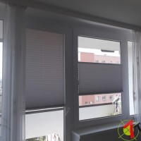 Plisy Kraków  - Plisy