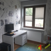 Plisy Kraków  - Plisy