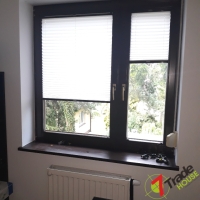 Plisy Kraków  - Plisy