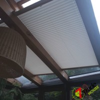 Plisy Kraków  - Plisy