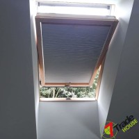 Plisy Kraków  - Plisy