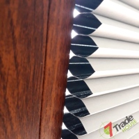 Plisy Kraków  - Plisy