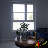 Plisy Kraków  - Plisy