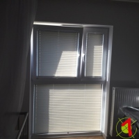 Plisy Kraków  - Plisy