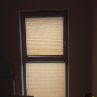 Plisy Kraków  - Plisy