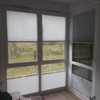 Plisy Kraków  - Plisy