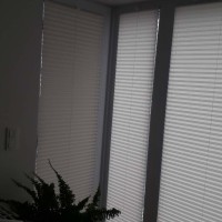 Plisy Kraków  - Plisy