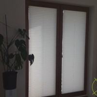 Plisy Kraków  - Plisy