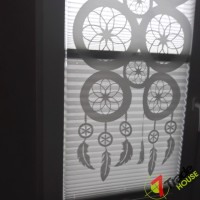 Plisy Kraków  - Plisy