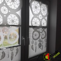 Plisy Kraków  - Plisy