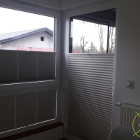 Plisy Kraków  - Plisy