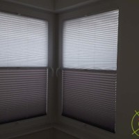 Plisy Kraków  - Plisy