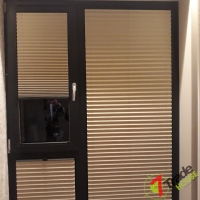 Plisy Kraków  - Plisy