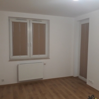 Plisy Kraków  - Plisy