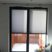 Plisy Kraków  - Plisy