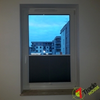 Plisy Kraków  - Plisy