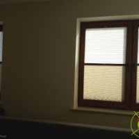 Plisy Kraków  - Plisy