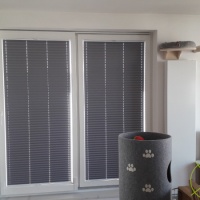 Plisy Kraków  - Plisy