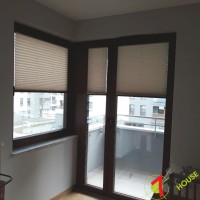 Plisy Kraków  - Plisy