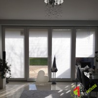 Plisy Kraków  - Plisy