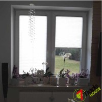 Plisy Kraków  - Plisy