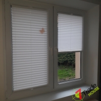 Plisy Kraków  - Plisy