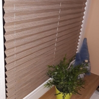 Plisy Kraków  - Plisy