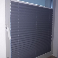 Plisy Kraków  - Plisy