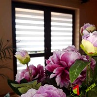 Rolety Kraków - Roletki dzień-noc  w kasecie