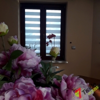 Rolety Kraków - Roletki dzień-noc  w kasecie