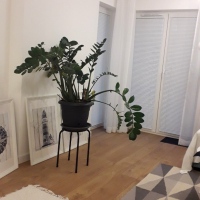 Rolety Kraków - Żaluzje poziome aluminiowe 25