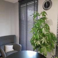 Rolety Kraków - Żaluzje poziome aluminiowe